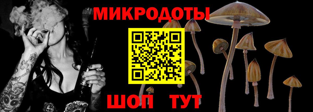 наркотики  Вход с VPN  Приморско-Ахтарск  Галлюциногенные грибы ЛСД 